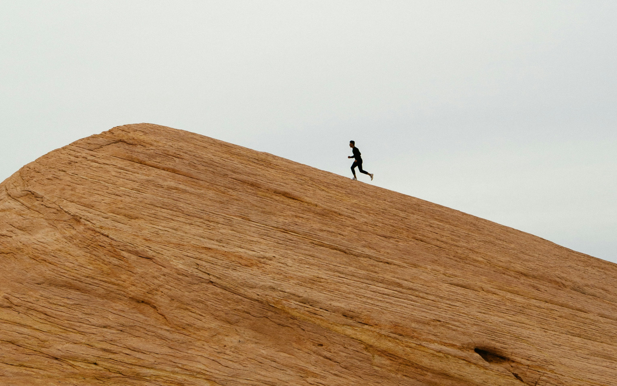 Physical Health and Mental Health | Free Your Mind Initiative