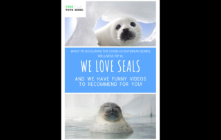 We Love Seals! | What to do During the COVID-19 Outbreak #1 | Free Your Mind Initiative