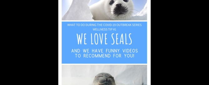 We Love Seals! | What to do During the COVID-19 Outbreak #1 | Free Your Mind Initiative