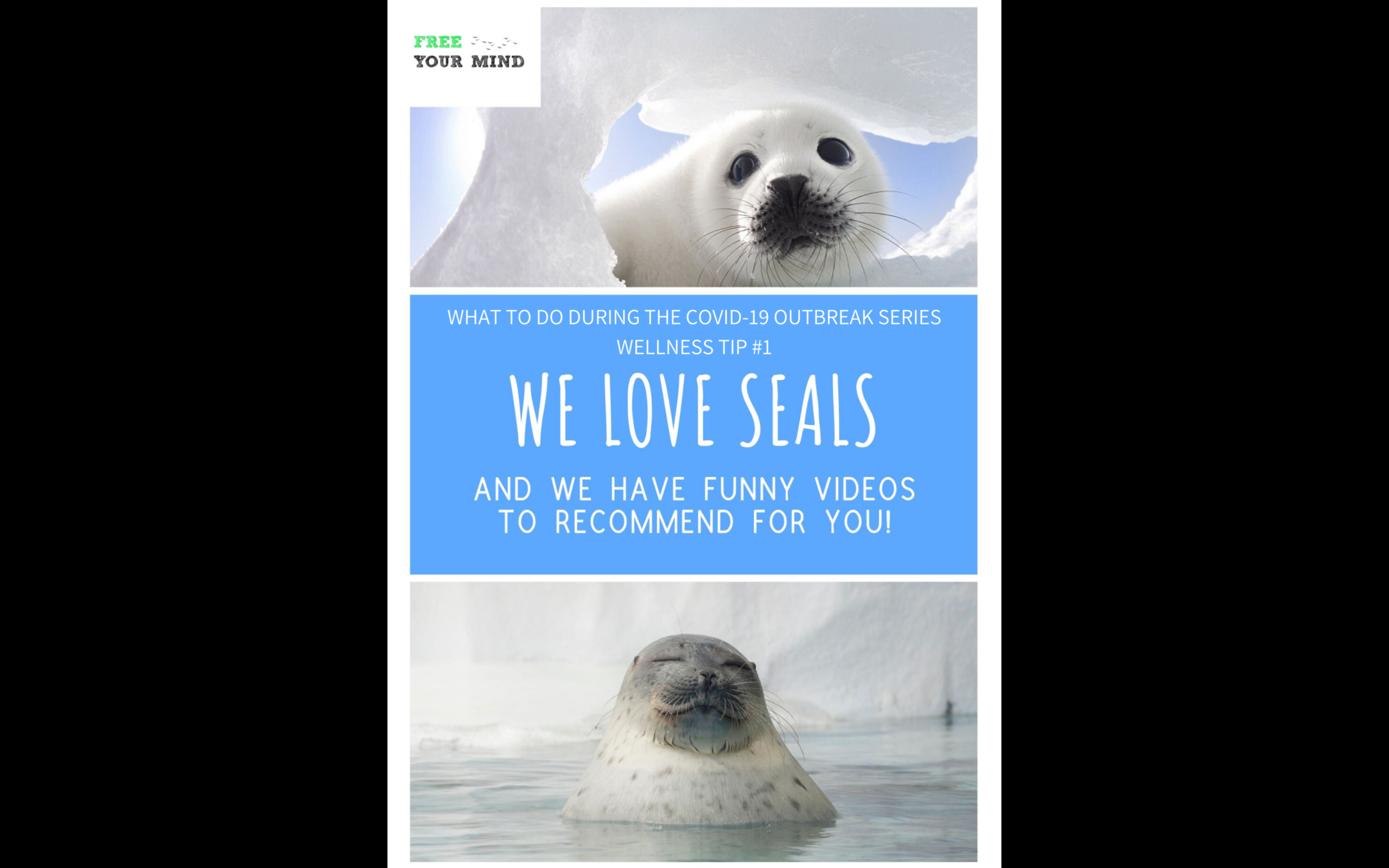 We Love Seals! | What to do During the COVID-19 Outbreak #1 | Free Your Mind Initiative