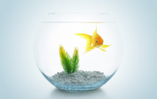 Speak Your Mind and Youth Central Mental Health Fishbowl Discussions | Free Your Mind Initiative