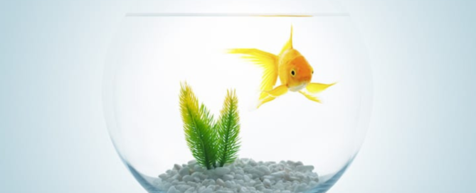 Speak Your Mind and Youth Central Mental Health Fishbowl Discussions | Free Your Mind Initiative