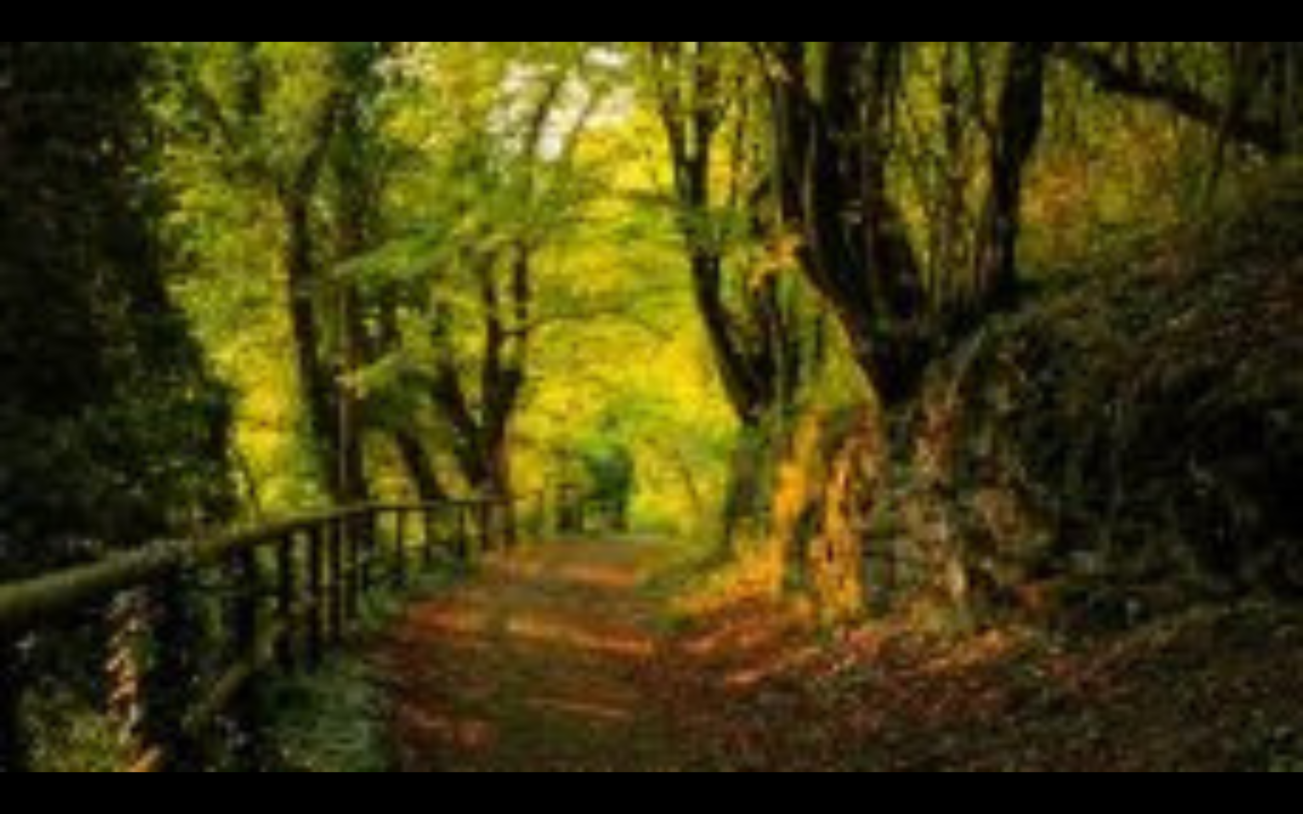 Person walking on a forest path, sunlight through trees, breathing deeply. Calm, peaceful nature scene.