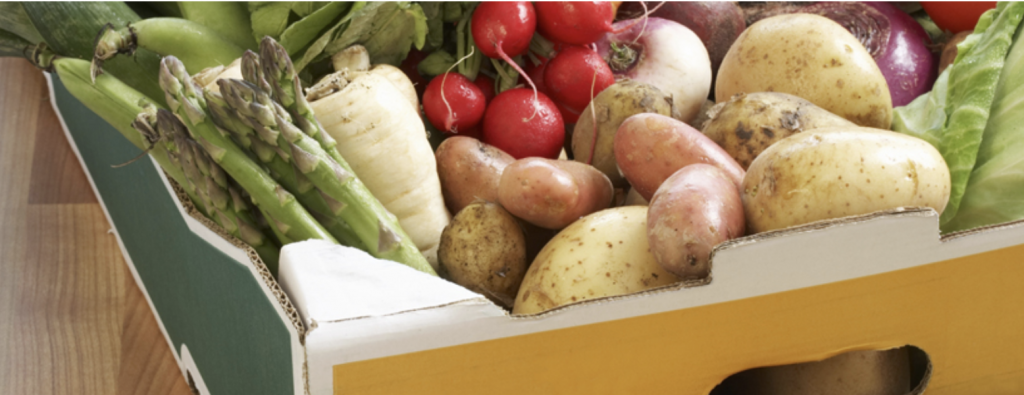 Maintaining a Healthy Diet | Free Your Mind Initiative