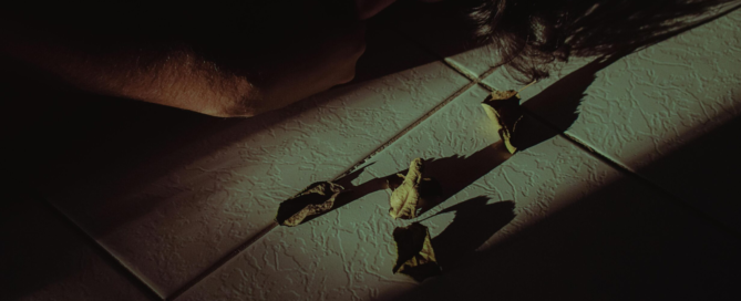 Addressing the Mental Health Crisis: British Columbia’s Proposed Mandate for Involuntary Care | Free Your Mind Initiative