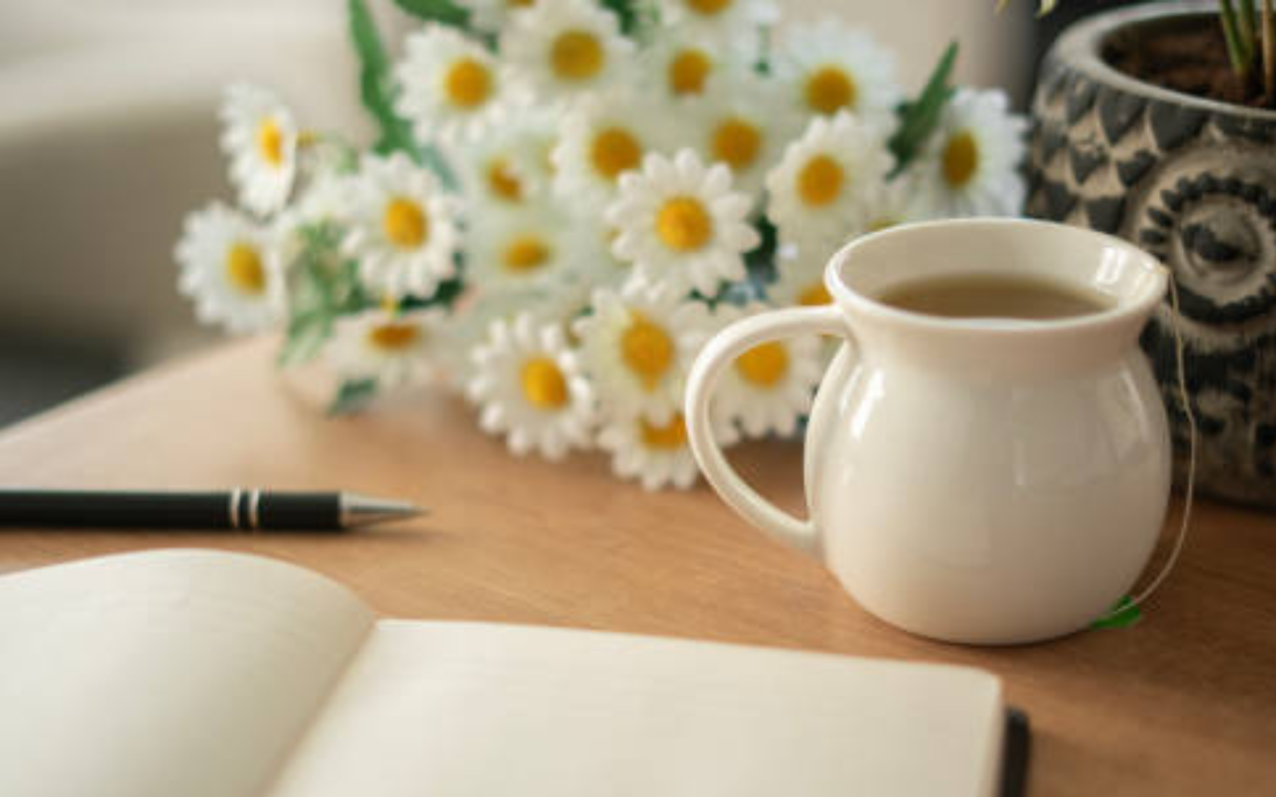 An Intro to the “One-day-at-a-time mentality” | Free Your Mind Initiative