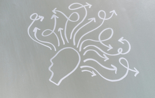 Endocannabinoids: The Brain’s Natural Fear Filter | Free Your Mind Initiative