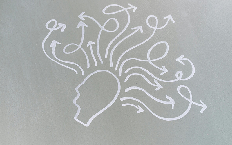 Endocannabinoids: The Brain’s Natural Fear Filter | Free Your Mind Initiative