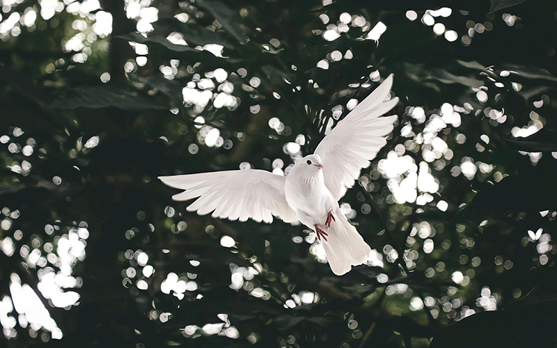 A serene person meditating alone in a calm, natural setting, symbolizing peace and self-focus through detachment.